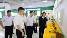 莫锦荣书记、姚春校长率队赴防城港市调研