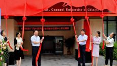 【踔厉奋发桂中医】“引培用”多措并举 树立新时代高校人才人事工作典范