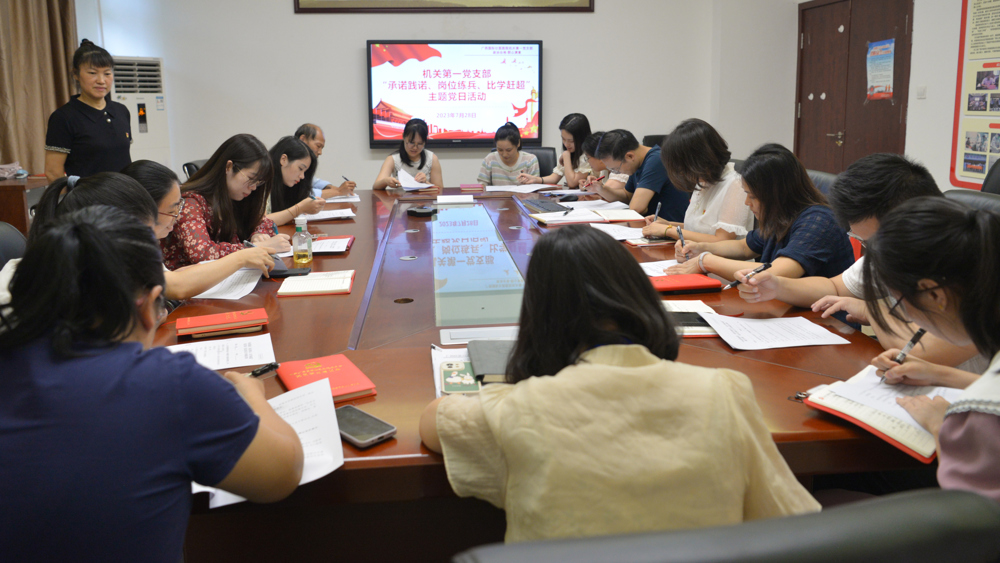 开展主题党日活动