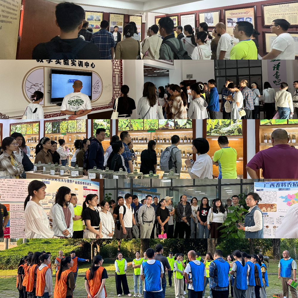 参观校园、素质拓展