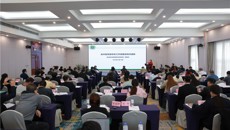 一附院承办的名中医专家传承工作室项目2024年度建设任务解析会在南宁顺利召开
