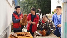 消费帮扶有温度 乡村振兴有力度 ——附属瑞康医院持续推进消费帮扶 助力乡村振兴