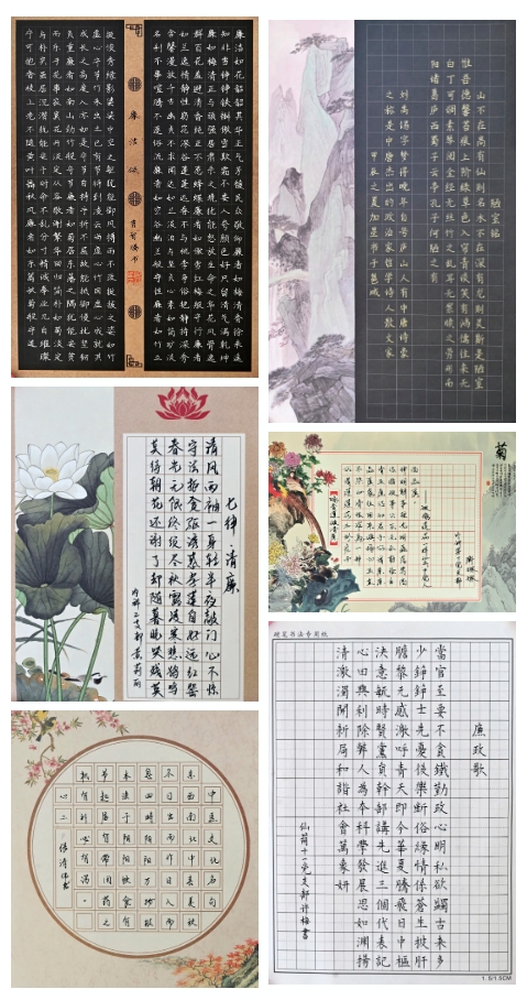 部分优秀作品展示-书法（硬笔类）