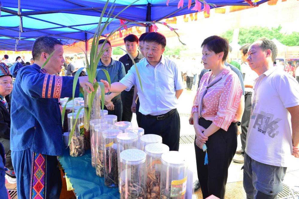 秦祖杰在仫佬医药市调研