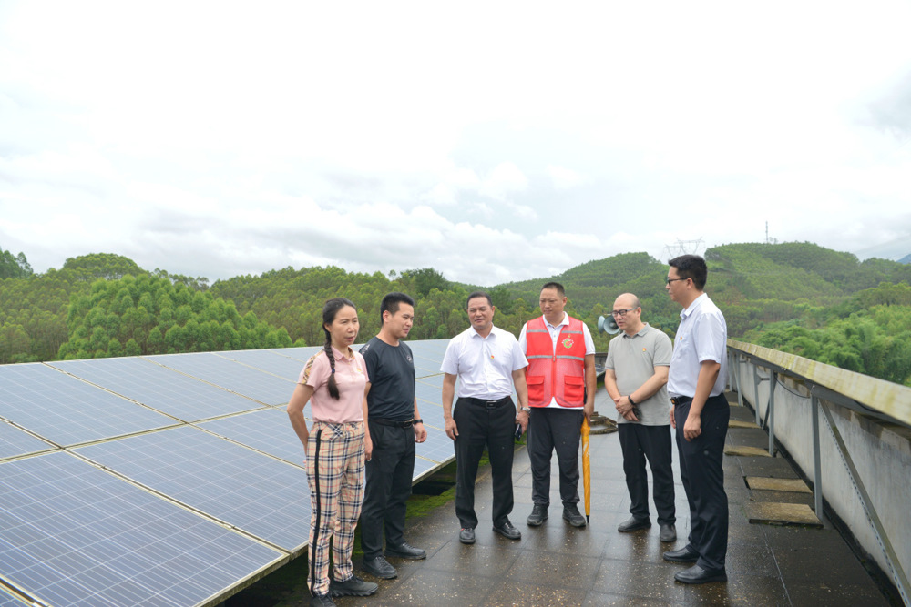 实地调研良安村光伏基地