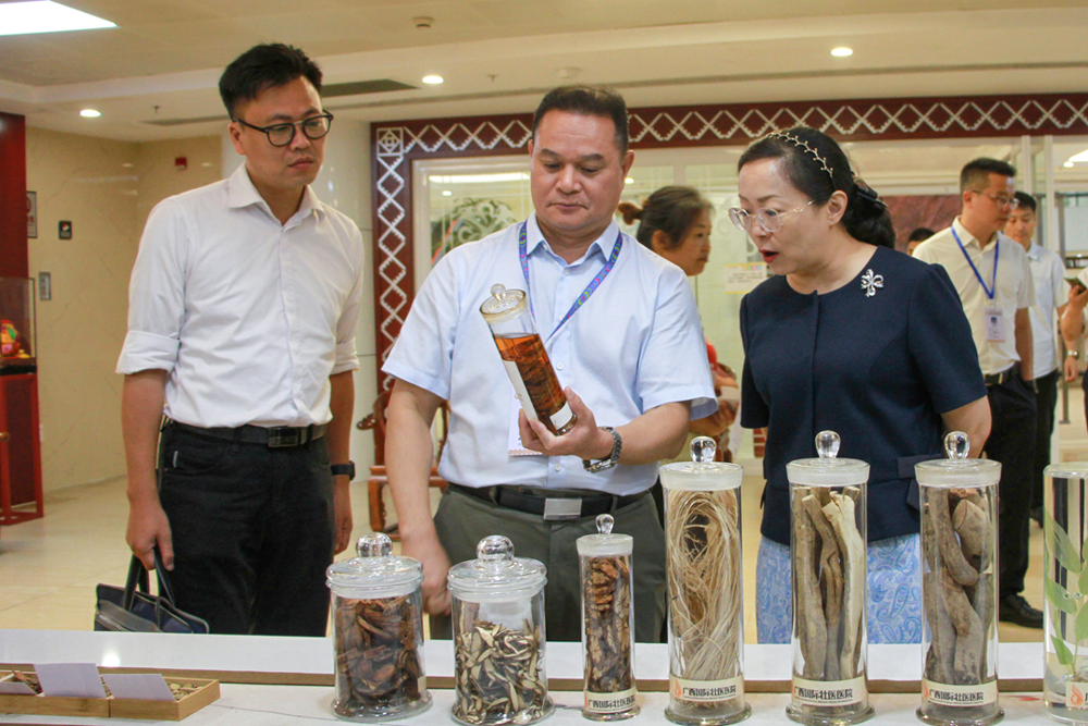 黄国东（左二）向陆静（左三）介绍壮医药标本