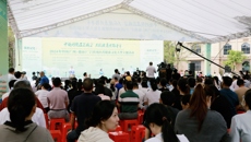 广西国际壮医医院亮相中越传统医药健康文化活动 壮瑶医药受欢迎