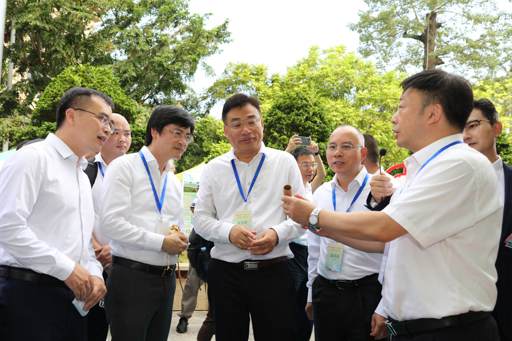 ▲领导嘉宾现场了解壮医药物竹罐疗法