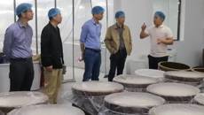 百年乐制药有限公司领导到米酒生产企业考察调研