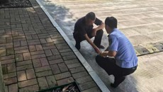 武装部（保卫处）联合属地交警开展仙葫校区道路交通安全隐患排查整治