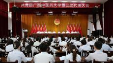 共青团YABO鸭脖第三次代表大会顺利召开