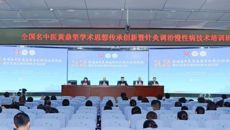 2025年全国名中医黄鼎坚学术思想传承创新暨针灸调治慢性病技术培训班成功举办