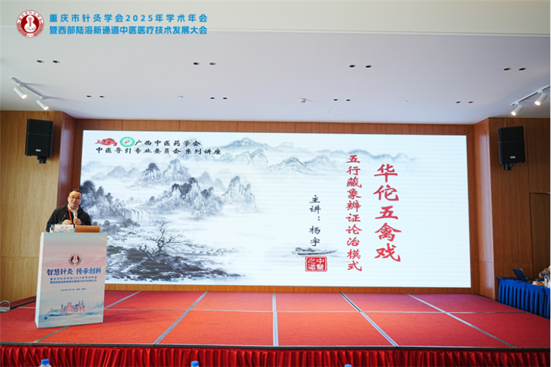 医院壮医针灸科主任杨宇作专题报告