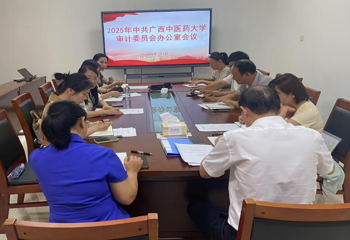 中共YABO鸭脖审计委员会办公室召开2025年度专题会议