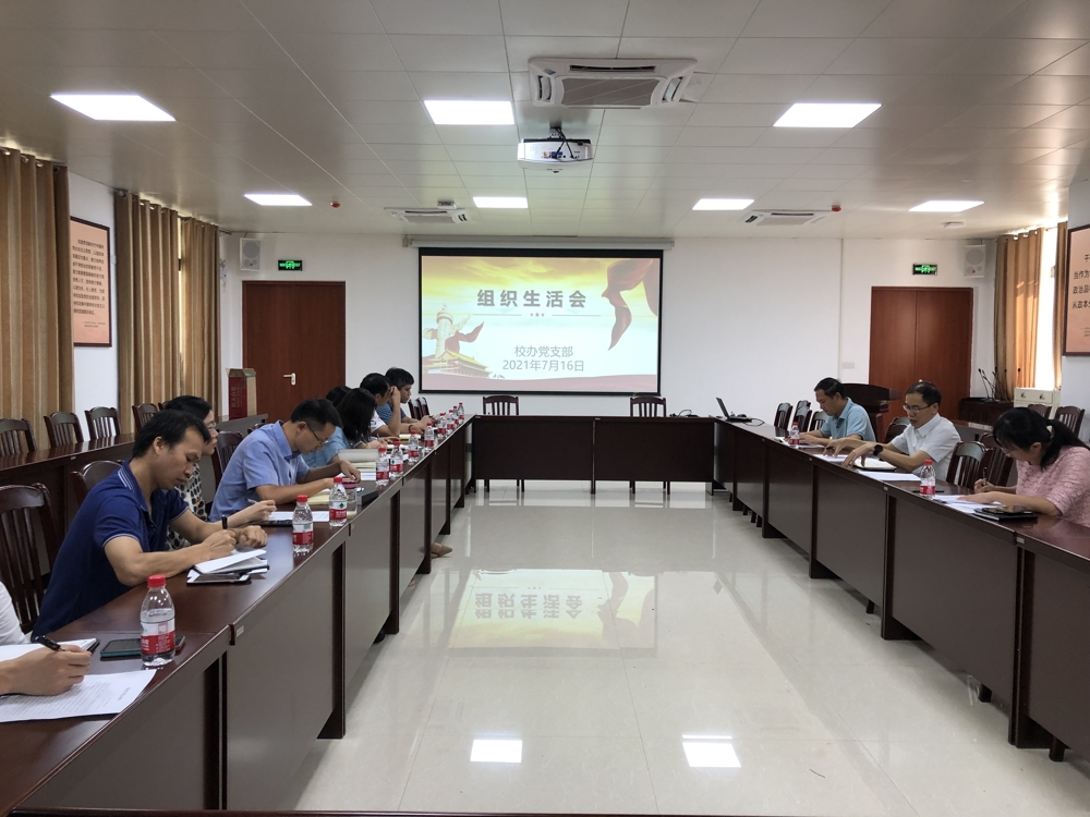 党史学习专题组织生活会