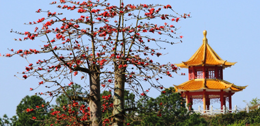 教育发展基金会