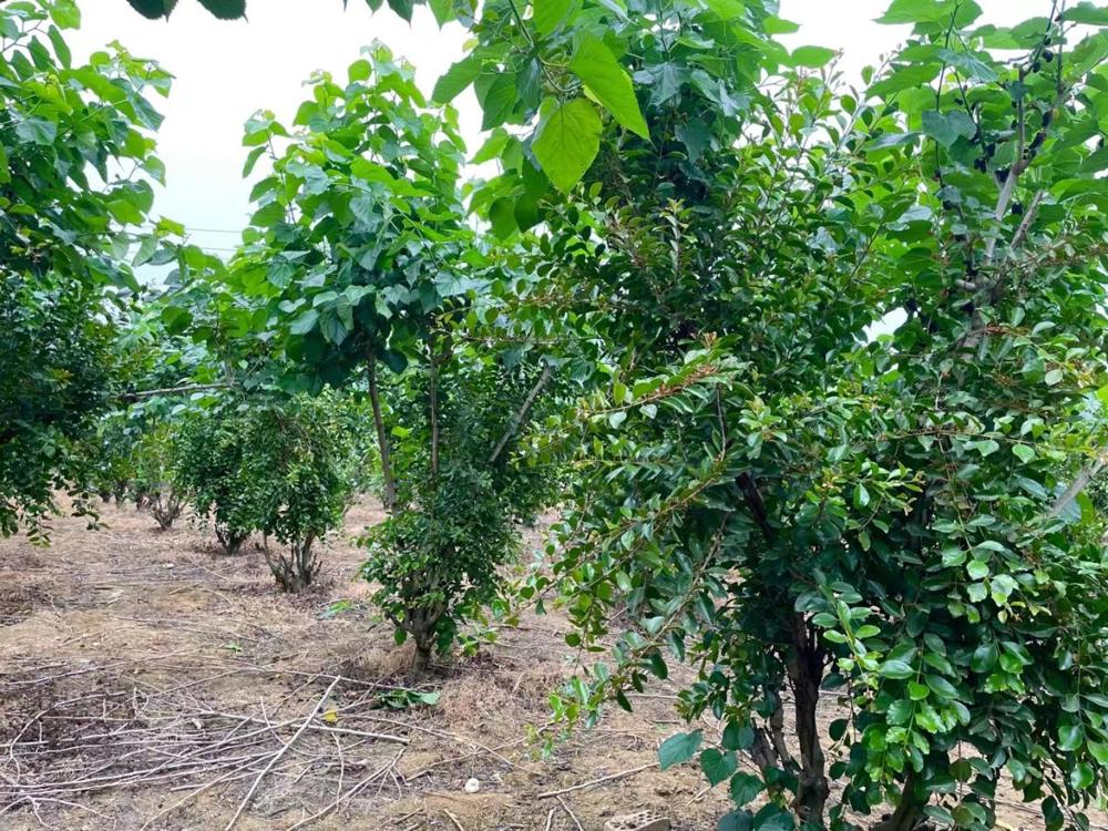 mmexport1683460164188