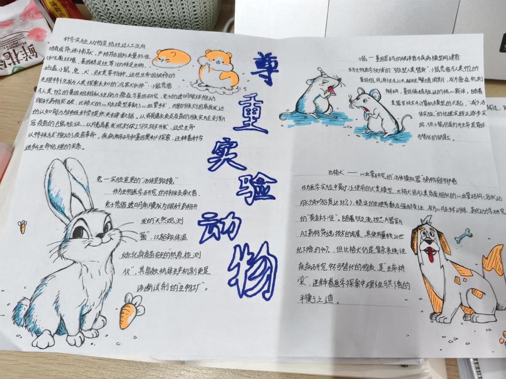 添加图片描述 添加图片描述