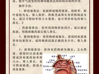 壮瑶医药特色疗法